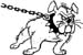 bulldog with chain art