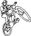 bicycle decal