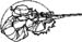 taking aim decal