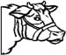 cow head