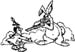 rabbit hunt decal