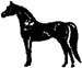 horse graphics