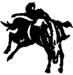 buckin horse decals