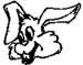 bunny head decal