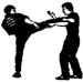 karate kick decal