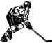 hockey decal