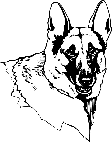 Black German Shepherd Face Coloring Coloring Pages