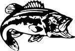 BASS