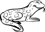 animals07