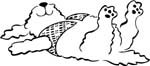 animals106