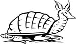 animals13