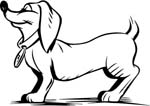 animals17