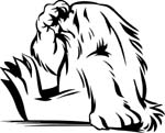 animals25