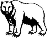 animals7002