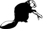 animals7003