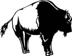 animals7004