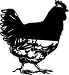 animals7006