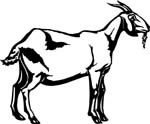 animals7011