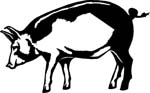 animals7013