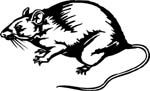 animals7018