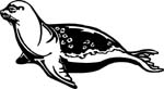 animals7021