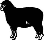 animals7022