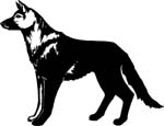 animals7023