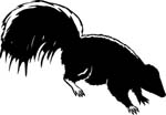 animals7024