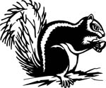 animals7025