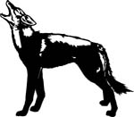 animals7026