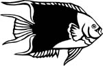 aquaticanglfish