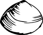 aquaticclam