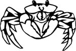 aquaticcrab