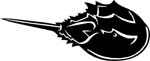 aquatichorscrab