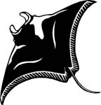 aquaticmantaray