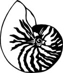 aquaticnautilus