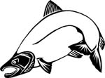 aquaticsalmon