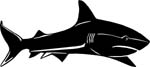 aquaticshark