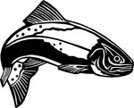 aquatictrout