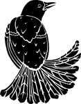 birdsblakbird