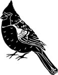 birdscardinal