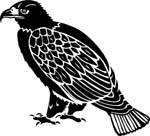 birdseagle