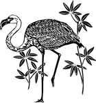 birdsflamingo