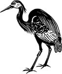 birdsheron