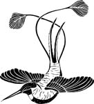 birdshumbird