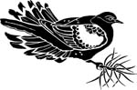 birdsmorndove