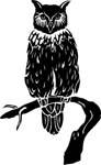 birdsowl