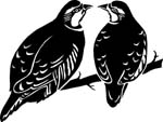 birdspartridg