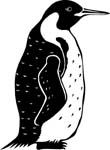 birdspenguin