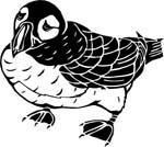 birdspuffin